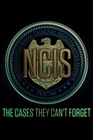 NCIS: The Cases They Can’t Forget