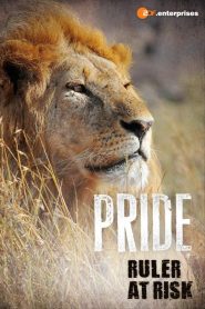 Lions – The Private Life of Big Cats
