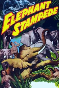 Elephant Stampede