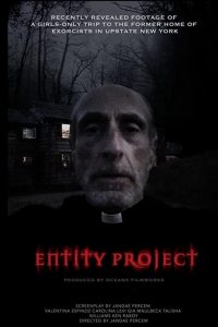 Entity Project