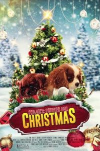 Project: Puppies for Christmas