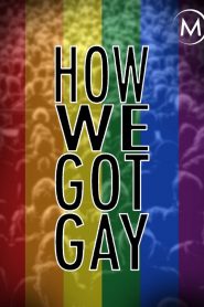 How We Got Gay