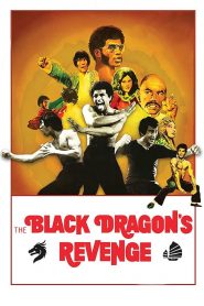 Black Dragon’s Revenge