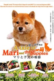 A Tale of Mari and Three Puppies