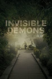 Invisible Demons
