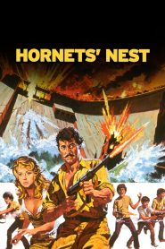 Hornets’ Nest