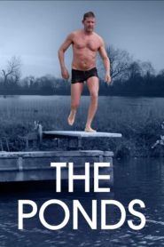 The Ponds