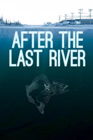 After the Last River