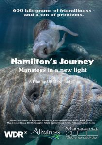 Hamilton’s Journey – Manatees in a New Light