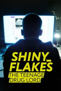 Shiny_Flakes: The Teenage Drug Lord