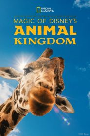 Magic of Disney’s Animal Kingdom