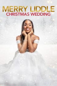 Merry Liddle Christmas Wedding