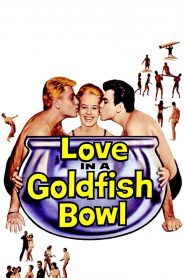 Love in a Goldfish Bowl