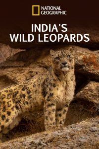 India’s Wild Leopards
