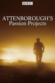 Attenborough’s Passion Projects