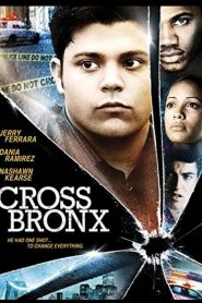 Cross Bronx