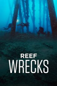 Reef Wrecks