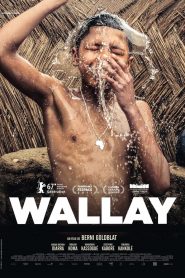 Wallay