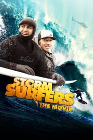 Storm Surfers 3D