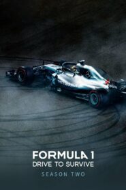 Formula 1: Drive to Survive: Season 2