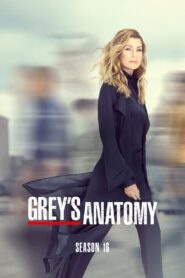 Grey’s Anatomy: Season 16