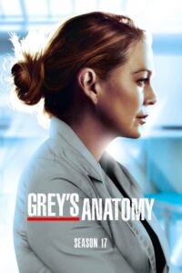 Grey’s Anatomy: Season 17