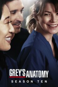 Grey’s Anatomy: Season 10