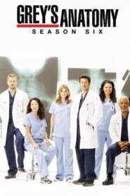 Grey’s Anatomy: Season 6