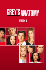 Grey’s Anatomy: Season 4